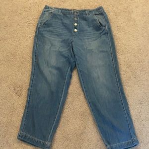 Democracy Flexellent Button Fly Trouser Jean 12